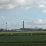 Kleine Scholle
