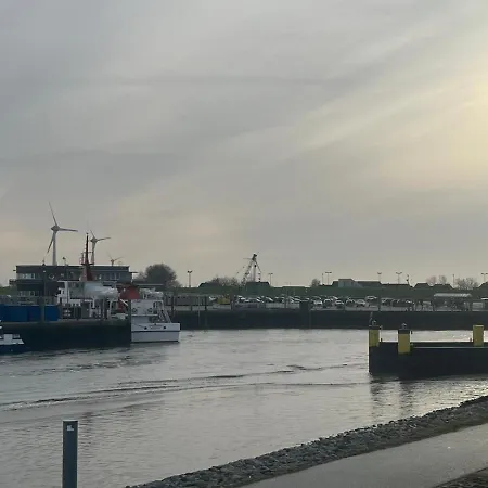 Kleine Scholle Neuharlingersiel